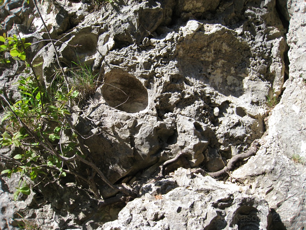 Mackinaw Island Area May 2008 0889.jpg - May 24 2008 a trip to Mackinac City for a 5 M race and a visit to Mackinac Island. A day to the UP, Paradise, Whitefish Point and Tahquamen Falls. This was followed by trips to Petoskey and Charlevoix.